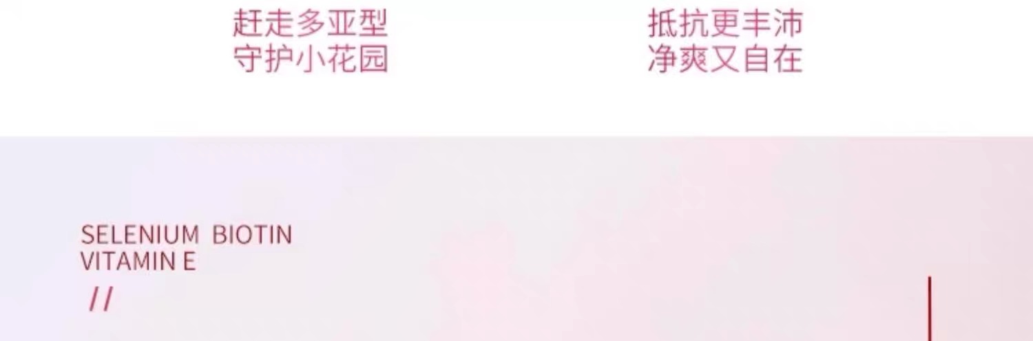 图像 748.jpeg