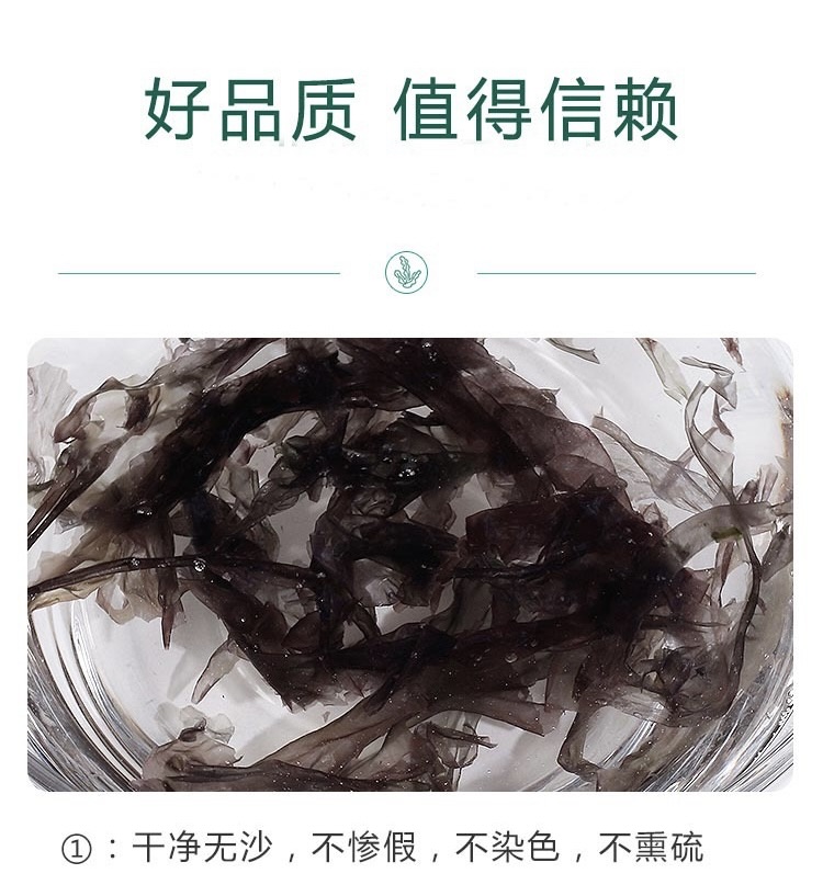 图像 1518.jpeg