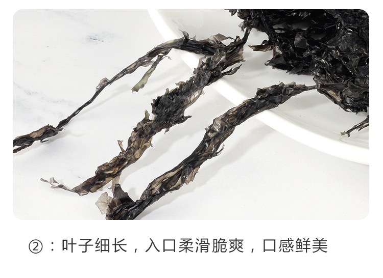 图像 1519.jpeg