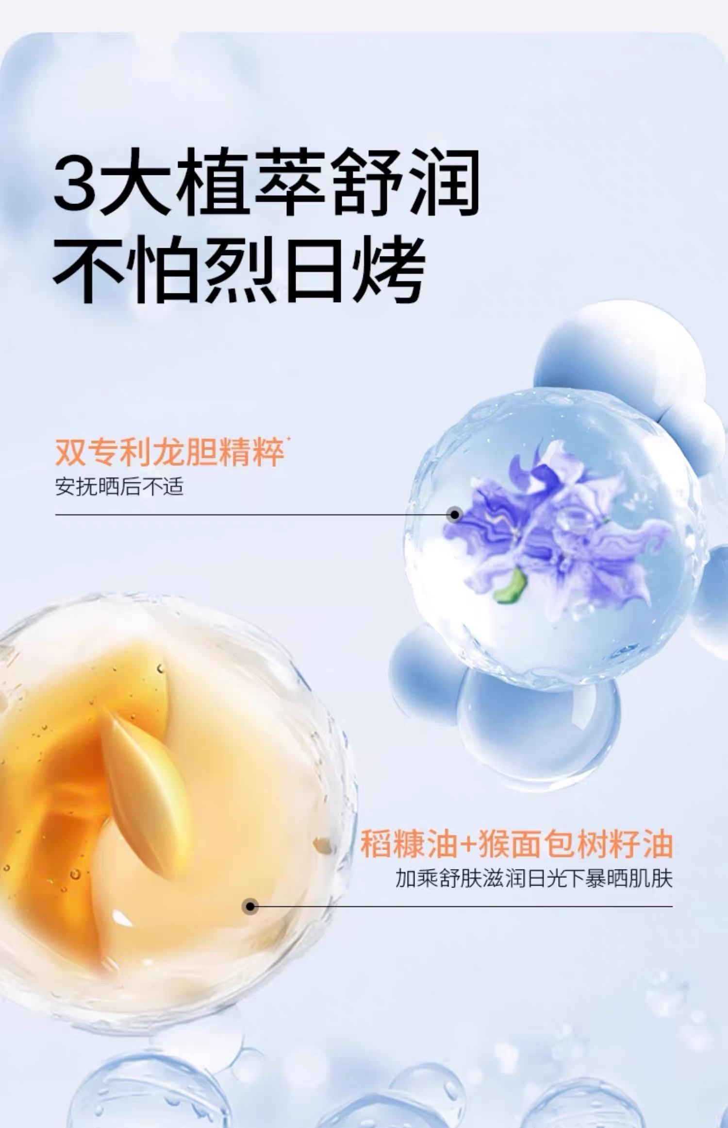 图像 1746.jpeg